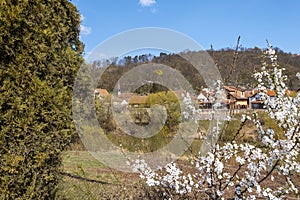 Spring landscape with the river Tarnava Mare in Sighisoara. Old houses with brick rooftops