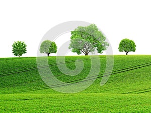 Spring landscape with rolling field and trees