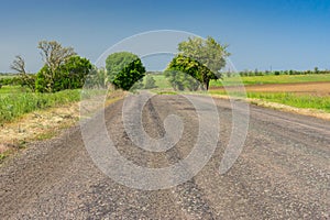 Spring landscape with rural road in central Ukraine