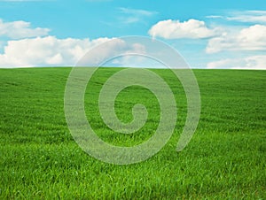 spring landscape scenery - beauty in nature, landscapes and environment concept