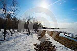 Spring landscape . Siberia, Yugra.