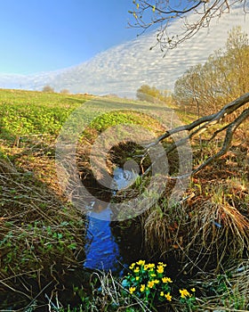 Spring landscape with a stream in a green ravine. Bright sunny day.