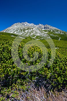 Spring landscape of the Tatra Mountains, Slovakia