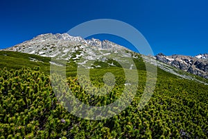 Spring landscape of the Tatra Mountains, Slovakia