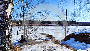 Spring landscape with tree with bare branches, river with ice, snow below on river and blue sky in the background in
