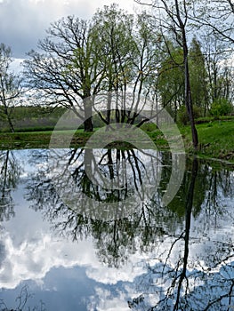 Spring landscape with tree silhouettes, green grass and a small pond, reflections of clouds and trees in the water