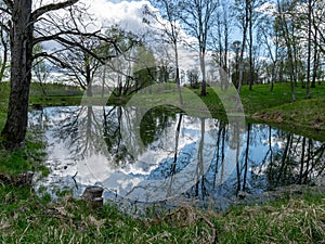 Spring landscape with tree silhouettes, green grass and a small pond, reflections of clouds and trees in the water