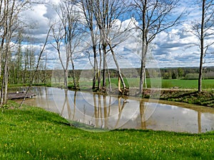 Spring landscape with tree silhouettes, green grass and a small pond, reflections of clouds and trees in the water