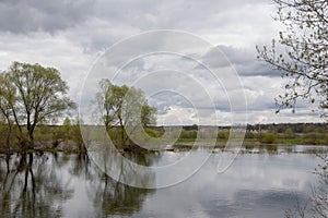 Spring landscape with trees, new foliage, grass, river in flood, reflection in the water, a village in the distance