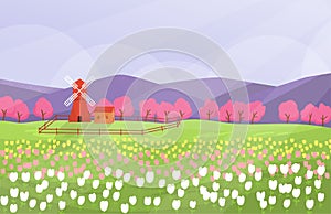 Spring landscape with tulip garden and windmill. Minimal style