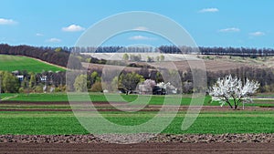 Spring landscape in the Ukrainian hinterland.