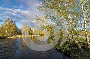 Spring landscape at the Ural river with birch, Russia