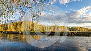 Spring landscape at the Ural river with birch, Russia