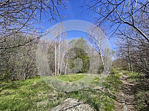 Spring Landscape of Vitosha Mountain, Bulgaria