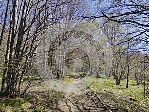 Spring Landscape of Vitosha Mountain, Bulgaria