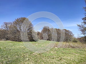 Spring landscape of Vitosha Mountain, Bulgaria