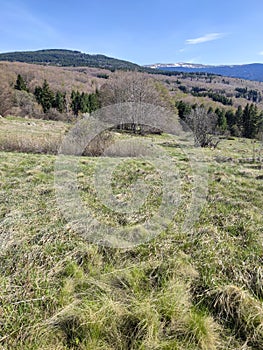 Spring landscape of Vitosha Mountain, Bulgaria