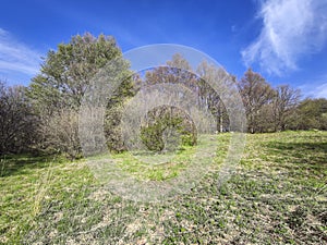 Spring landscape of Vitosha Mountain, Bulgaria