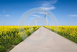 Spring landscape and wind farm