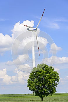 Spring landscape with wind turbine