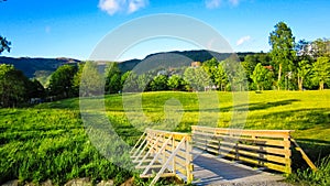 Spring Landscape with A Wooden Bridge, A Meadow of Yellow Buttercups and Green Trees in The Sunshine