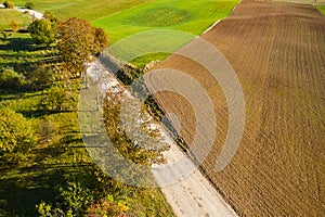 A spring landscape with a young plowed field and green grass. Fresh shoots