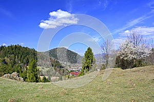 Spring landscapes of Little Pieniny mountains, Poland