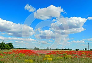 spring landscapes in Vidriales walley