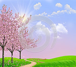 Spring landskape with sakura.