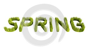 Spring Lawn