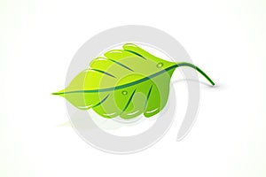 Spring leaf ecology realistic icon logo vector