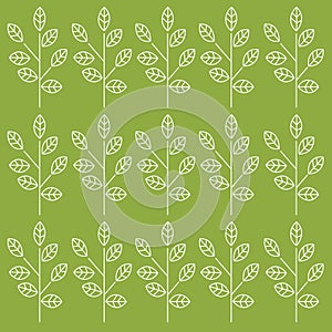 Spring Leaves Green Pattern, Texture, Background