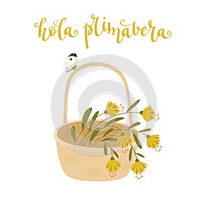 Spring lettering in Spanish `Hola Primavera`, in English, means `Hello Spring`.