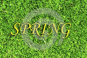 Spring letters on grass background, concept spring
