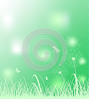 Spring light green background for Easter greeting card, social media, web banner, sale labels and discount promo with grass, dande