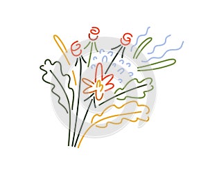 Spring lineart flowers. Blossomed floral bunch. Romantic gift, blooming wildflowers, delicate gentle plants, petals