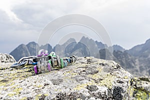 Spring-loaded camming device