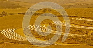 Spring Loess Plateau farmland photo