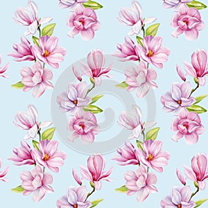 Spring magnolia blooming flowers. Seamless pattern pink petals, blossom, branches. Design spring floral background