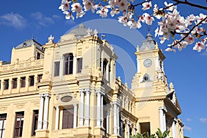 Spring in Malaga, Spain