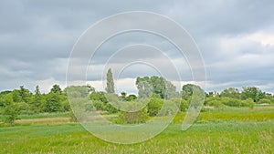 Spring marsh landscape in the Flemish countryside