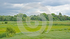 Spring marsh landscape in the Flemish countryside