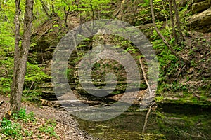 Spring in Matthiessen.