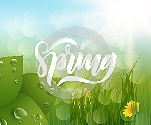 Spring vector background. EPS10