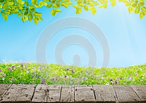 Spring meadow with flowers and old grunge wooden floor