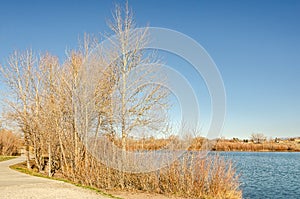 Spring at Spring Meadow Lake