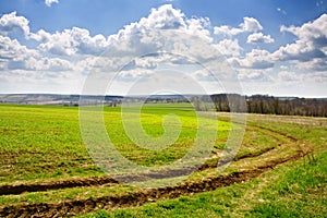 Spring on meadow landscape