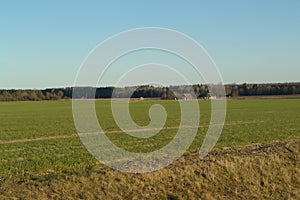 Spring meadows around a rural house, russian country landscape