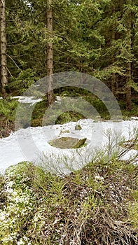 Spring melting snow in the mountains on sunny meadows. Scenery