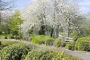 Spring in Milton Keynes, England